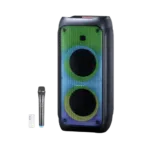 Party speaker